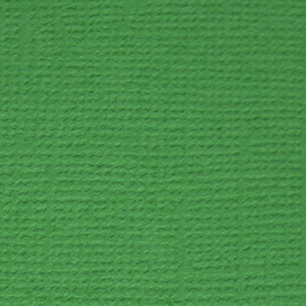 Бумага для скрапбукинга 216 гр/м², 30.5х30.5 см, 10 шт, 26 Лесной папоротник (т.зеленый), Mr.Painter PST