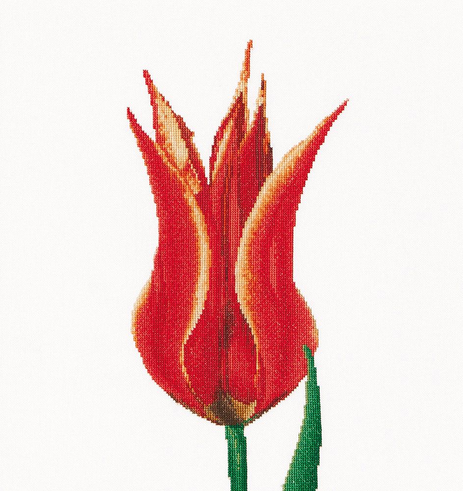 Thea Gouverneur, Красный тюльпан, канва лён 36 ct, 34х36 см