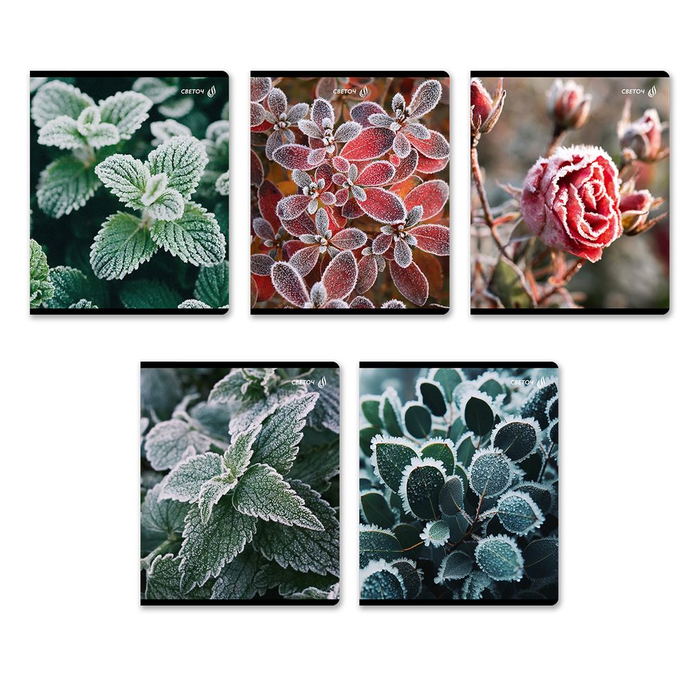 Тетрадь ученическая общая, глянцевая ламинация A5 48 л. на скобе 65 г/м², белизна 100% 10 шт клетка, 01503 Морозная свежесть, Светоч Т71