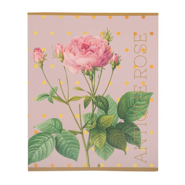 Тетрадь Цветы A5 48 л. на скобе 60 г/м², 10 шт, клетка, SVT 481421 05 т. розовый, Светоч