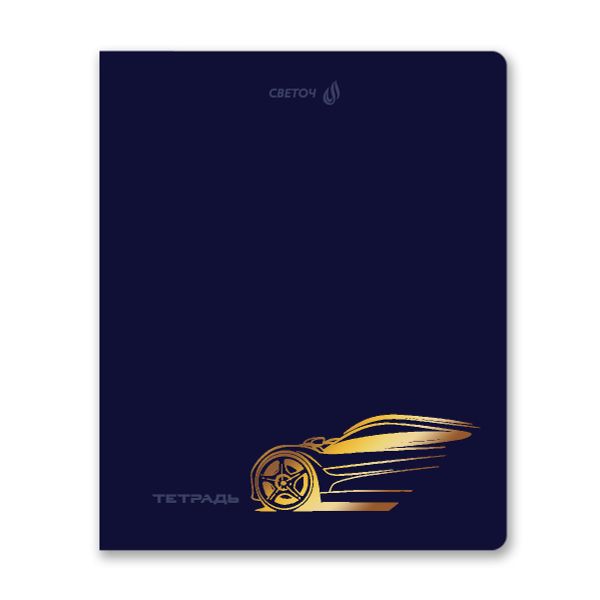 Тетрадь ученическая общая, тиснение золотой фольгой, A5 48 л. на скобе 65 г/м², белизна 100% 10 шт клетка, 01515 Со скоростью света, Светоч Т199