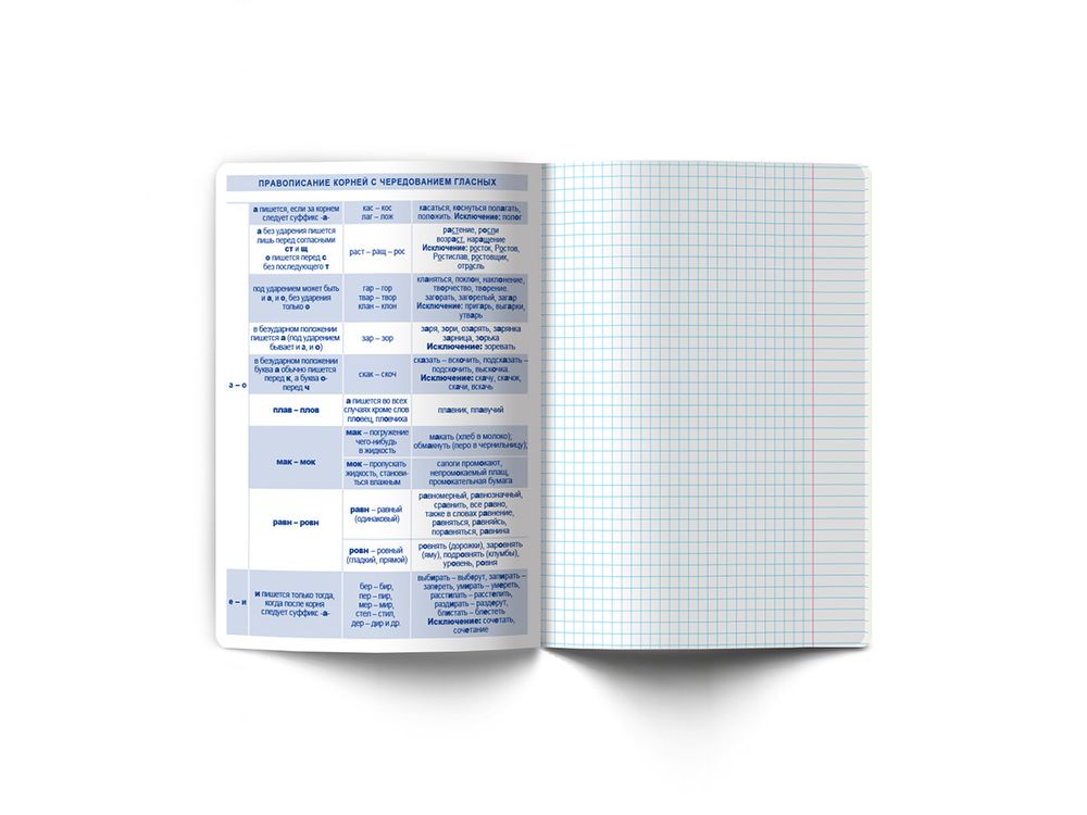 Тетрадь со справочным материалом Доска желаний, A5+ 48 л. на скобе 60 г/м², белизна 90%, 10 шт, линия, 000517 Русский язык, Светоч 48ТПСКд5_0_2_2