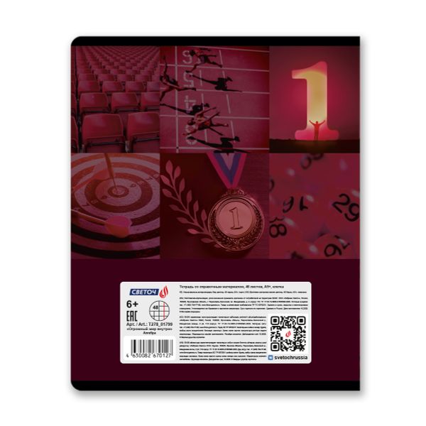 Тетрадь со справочным материалом Огромный мир внутри, A5 48 л. на скобе 60 г/м², белизна 90% 10 шт клетка, 01799 Огромный мир внутри Алгебра, Светоч Т278