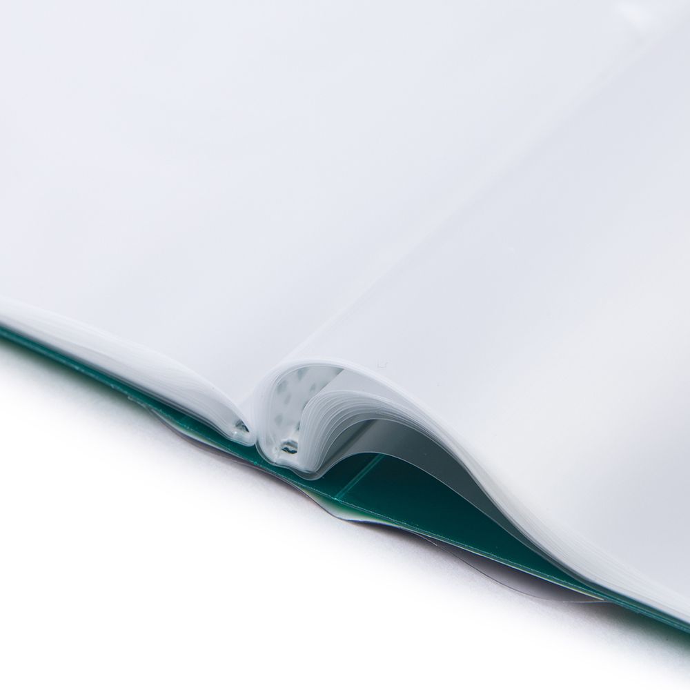 Папка с вкладышами 60 л. A4 700 мкм 25 мм, волокно, 4 шт, зеленый new EC211830003, Expert Complete