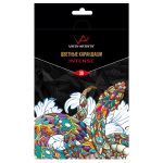 Набор цветных карандашей заточенный 4х36 цв, Vista-Artista INTENSE VICP-36