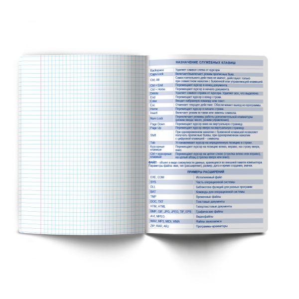 Тетрадь со справочным материалом Огромный мир внутри, A5 48 л. на скобе 60 г/м², белизна 90% 10 шт клетка, 01807 Огромный мир внутри Информатика, Светоч Т278