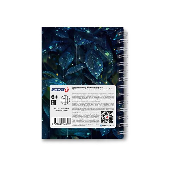 Записная книжка с твердым переплетом, глянцевая ламинация, на гребне A6 120 л. 4 шт клетка, Мелодия дождя 01591, ЗК226 Светоч