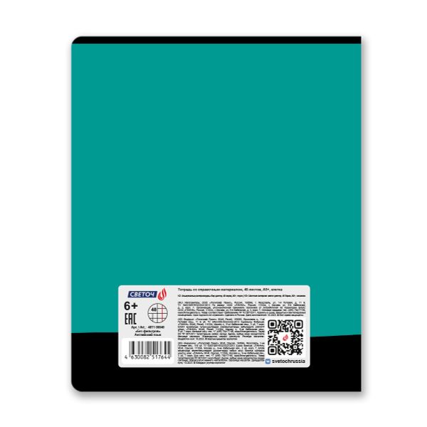 Тетрадь со справочным материалом Без фильтров, A5+ 48 л. на скобе 60 г/м², белизна 90%, 10 шт, клетка, 00840 Английский язык, Светоч 48Т1