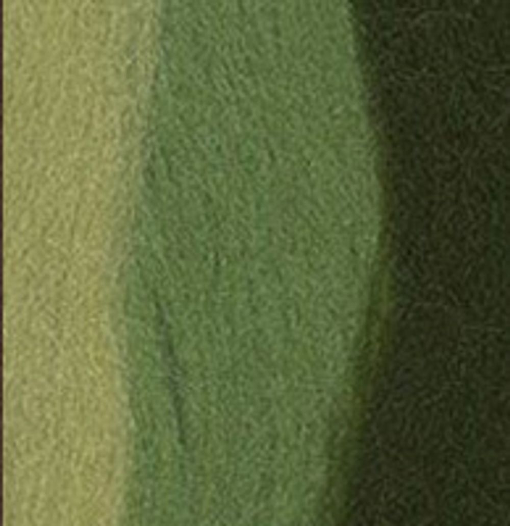 Шерсть для валяния (до 29 мкр), 50 г. 6111 з.яблоко/морские водоросли/липа, Gamma MY-050