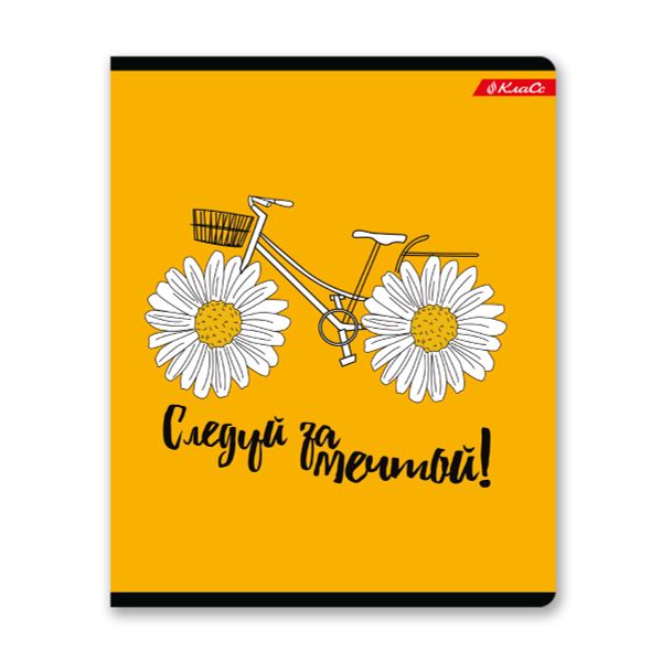 Тетрадь ученическая общая, выборочный лак, A5+ 48 л. на скобе, белизна 100%, 10 шт, клетка, 000316 В лето за мечтой, Светоч 48ТСК5_4_3_1