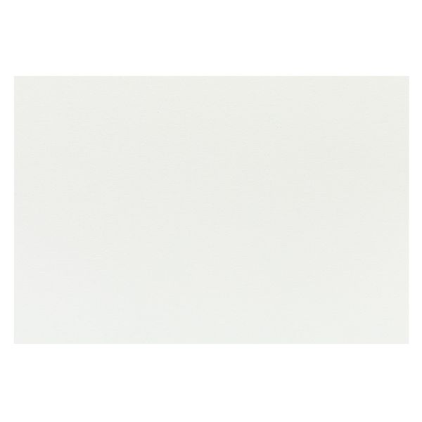 Холст грунтованный на картоне 40х60 см, 240 г/м², мелкозернистый, Vista-Artista CPCA-4060