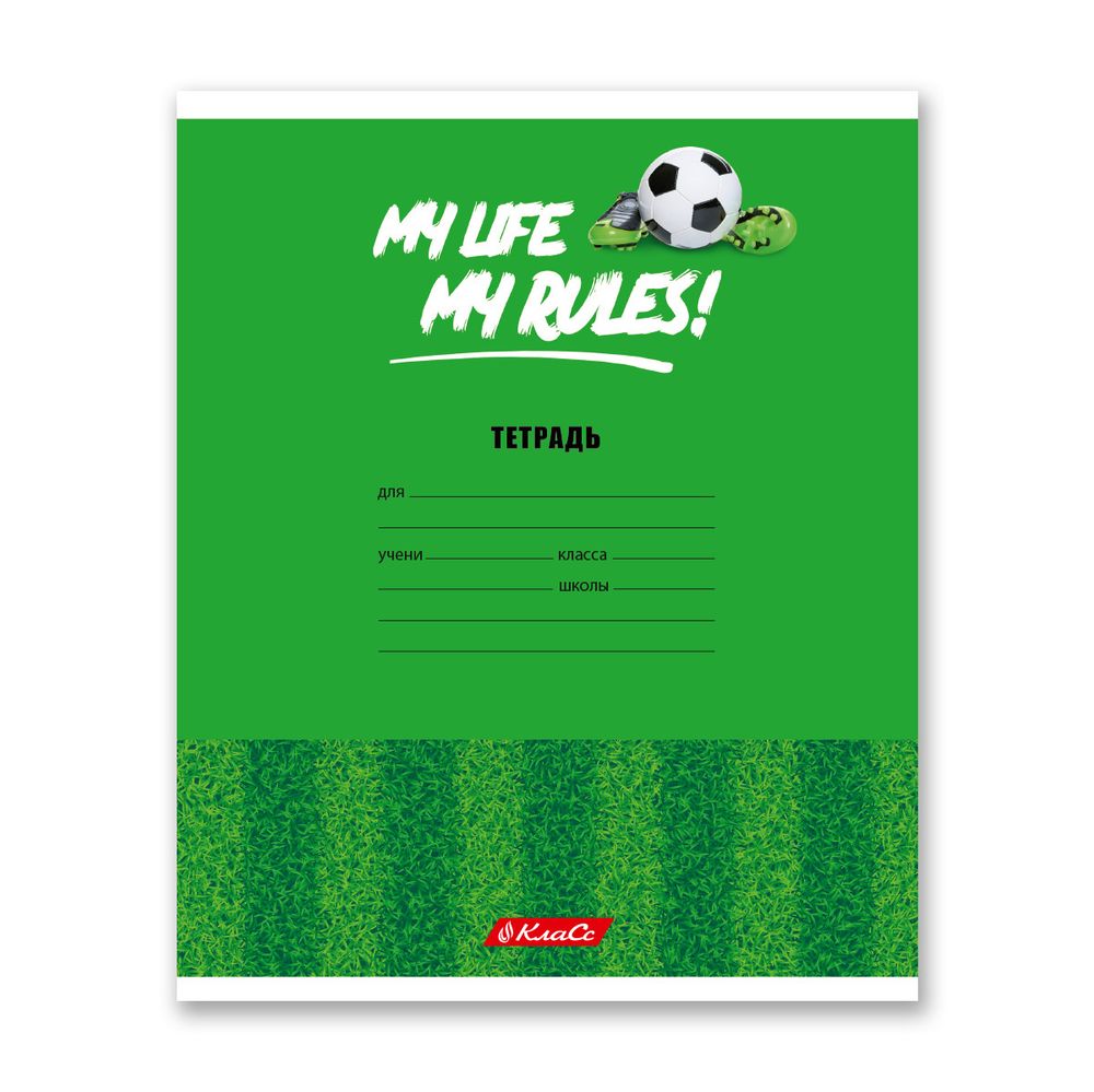 Тетрадь ученическая школьная A5+ 24 л. на скобе, белизна 100% 30 шт, клетка, 000372 Мячики, Светоч 24ТСКд5_1_3_1