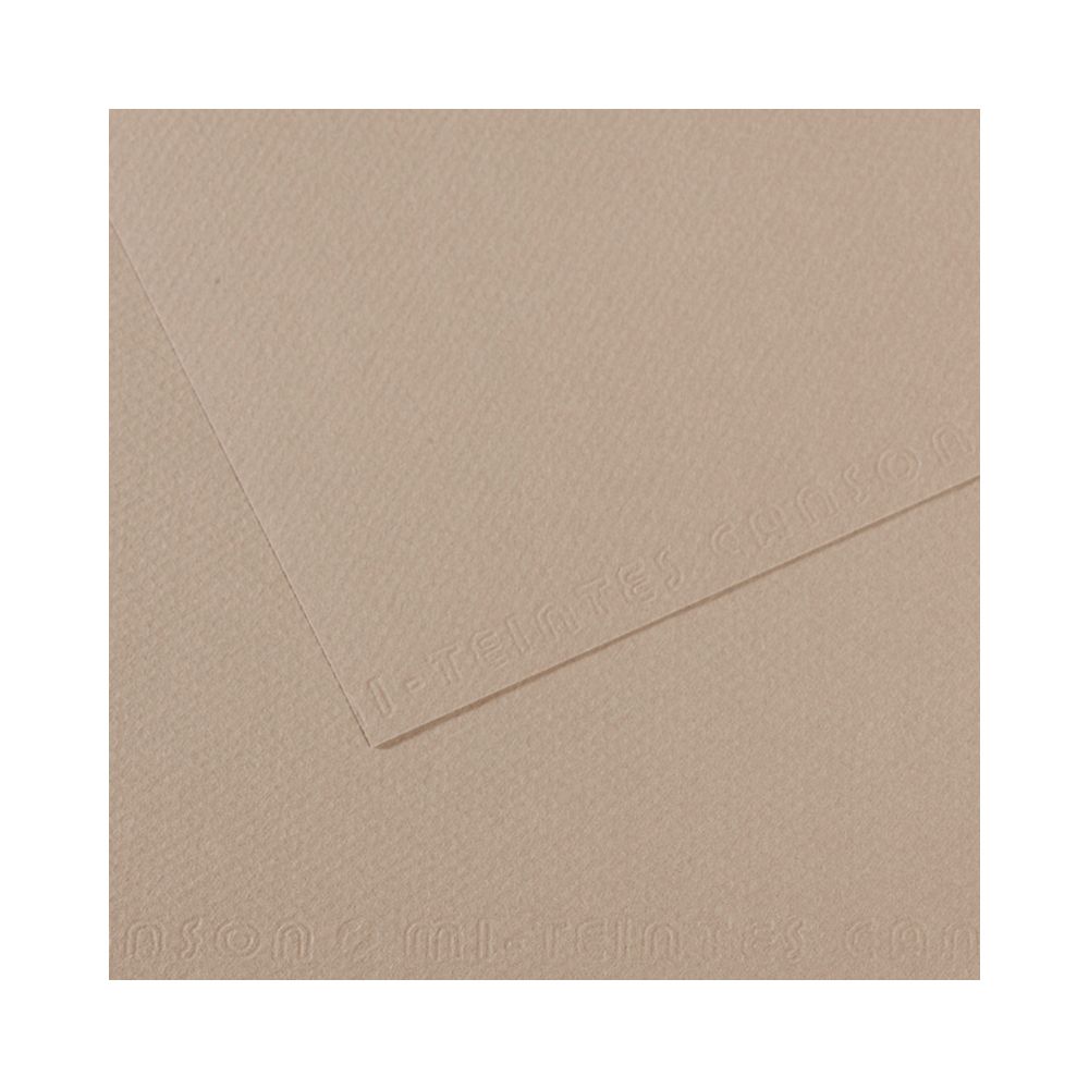 Бумага для пастели 160 г/м², 75х110 см, 25 листов, №122 серый фланель, Canson Mi-Teintes C200321367