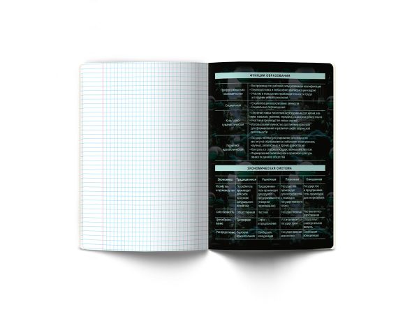 Тетрадь со справочным материалом Эволюция, глянцевая ламинация, A5+ 48 л. на скобе 65 г/м², белизна 100%, 10 шт, клетка, 00886 Обществознание, Светоч 48Т5