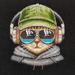 Алмазная (кристальная) мозаика Фрея, постер Кот- меломан, 30х30 см