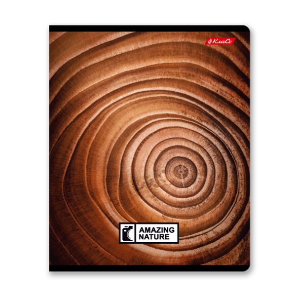 Тетрадь ученическая общая, твин лак, A5+ 60 л. на скобе 65 г/м², белизна 100%, 10 шт, клетка в термоусадочной пленке, 000477 Биосфера, Светоч 60ТСК5_8_2_1