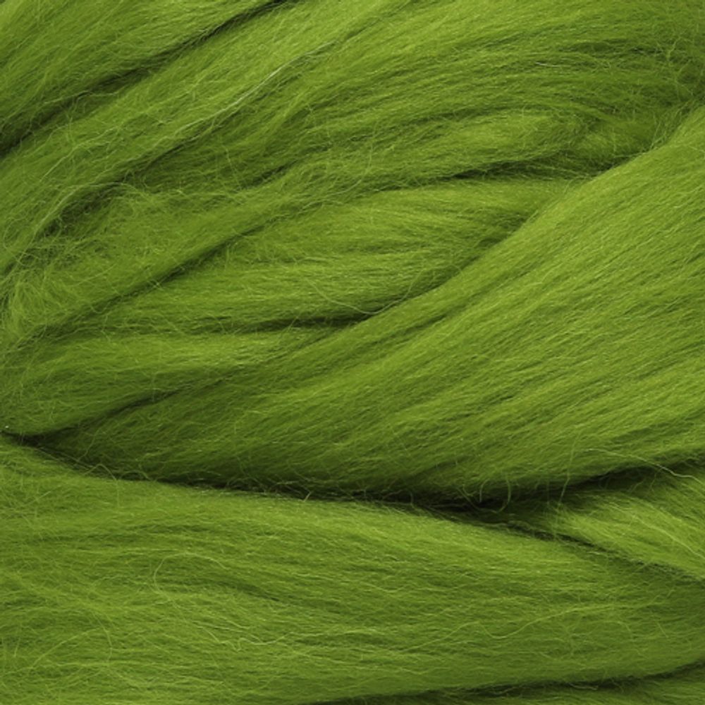 Шерсть для валяния Троицкая п/тонкая 1х100 г (до 29 мкр), 1550 аспарагус