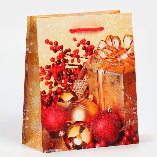 Пакет ламинированный вертикальный 