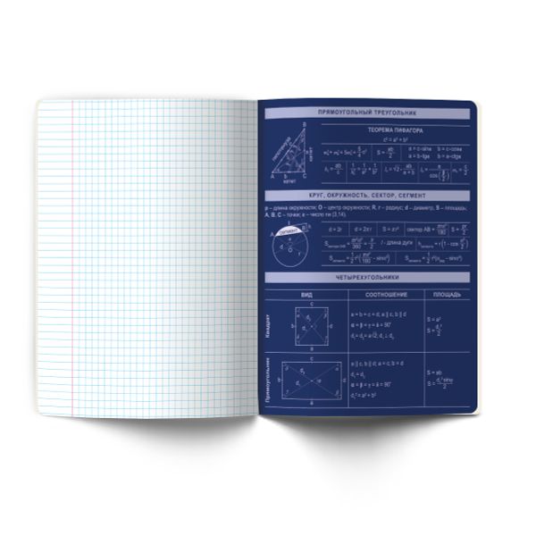 Тетрадь со справочным материалом Золотые главы, тисн.золот.фольгой, A5 48 л. на скобе 65 г/м², белизна 100% 10 шт клетка, 01851 Золотые главы Геометрия, Светоч Т286