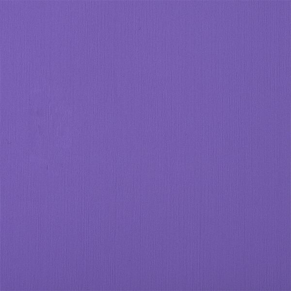 Бифлекс матовый 200 г/м², 150 см / 1 метр, WB.TBY-B-5003.1, цв.5003 лиловый