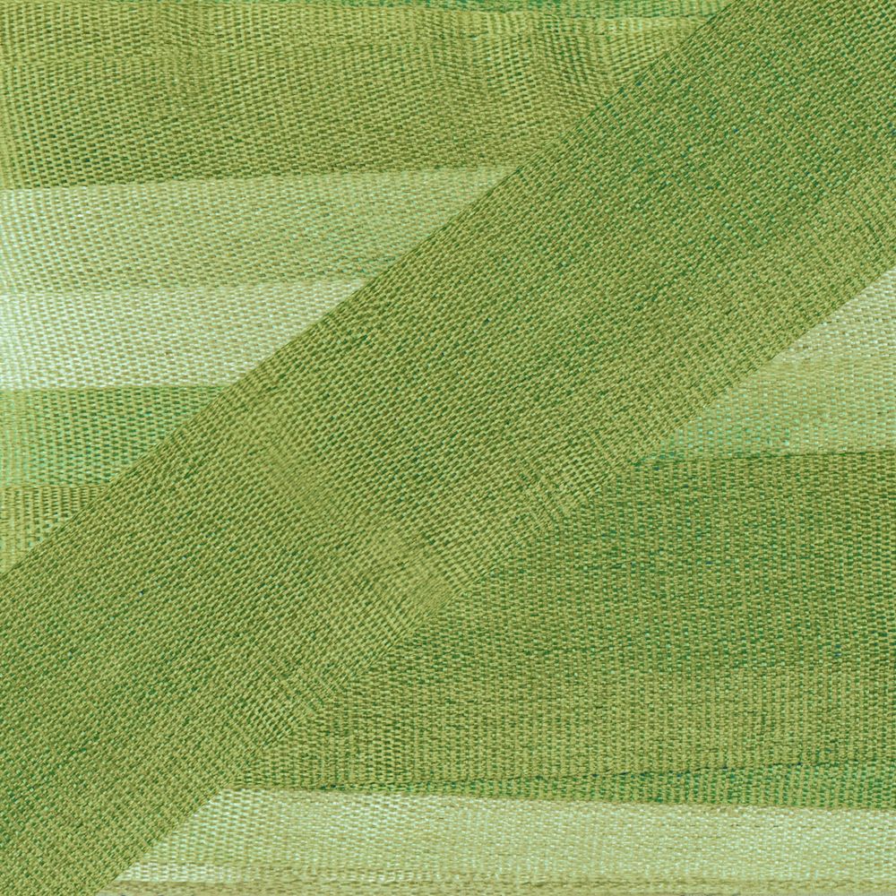 Лента (тесьма) шелковая 13.0 мм / 45.5±0.5 метров, M041 св. зеленый/зеленый, Gamma SRM-13