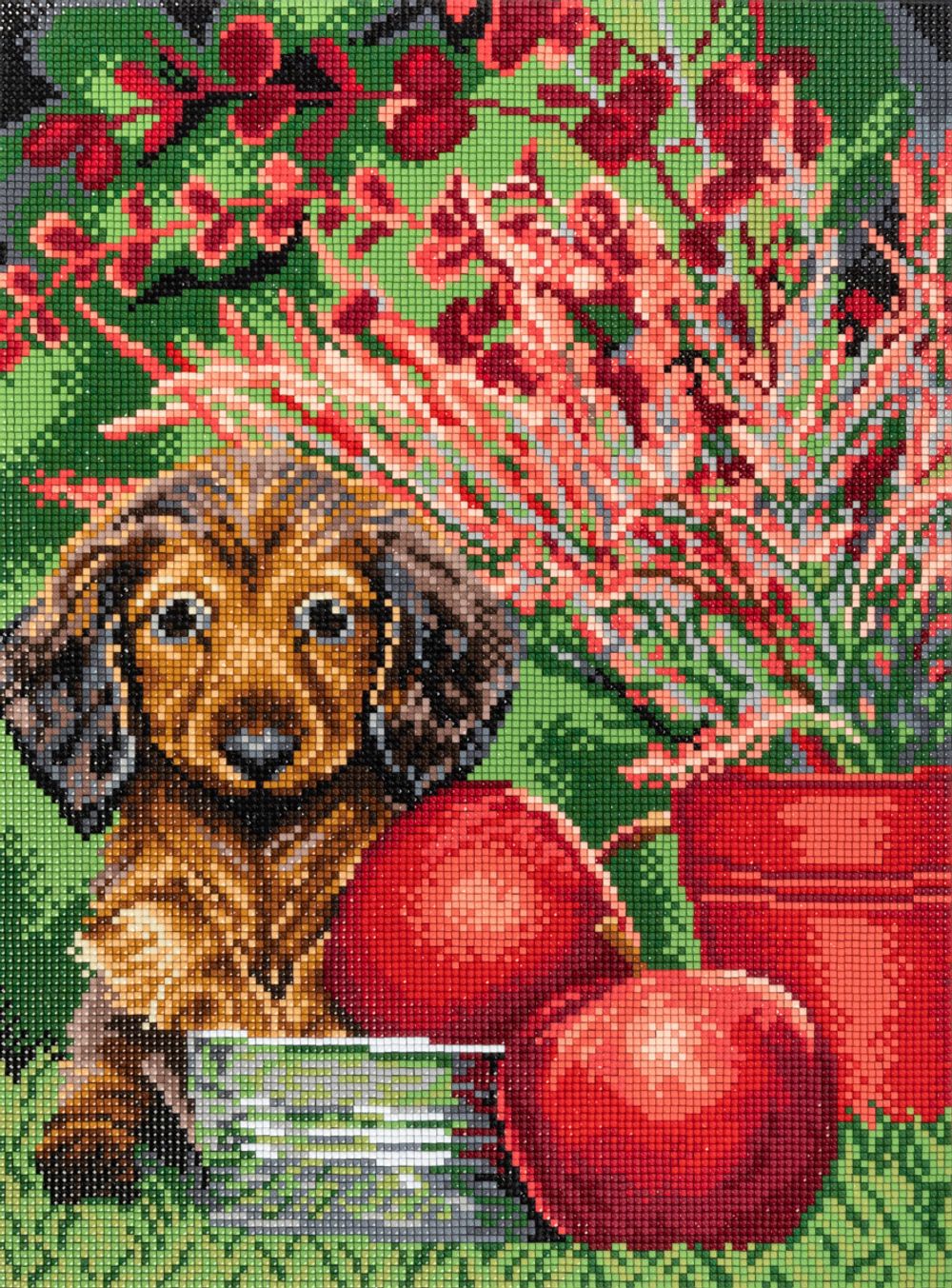 Алмазная (кристальная) мозаика Фрея ALPD-212, на подрамнике Малыш такса, 30х40 см