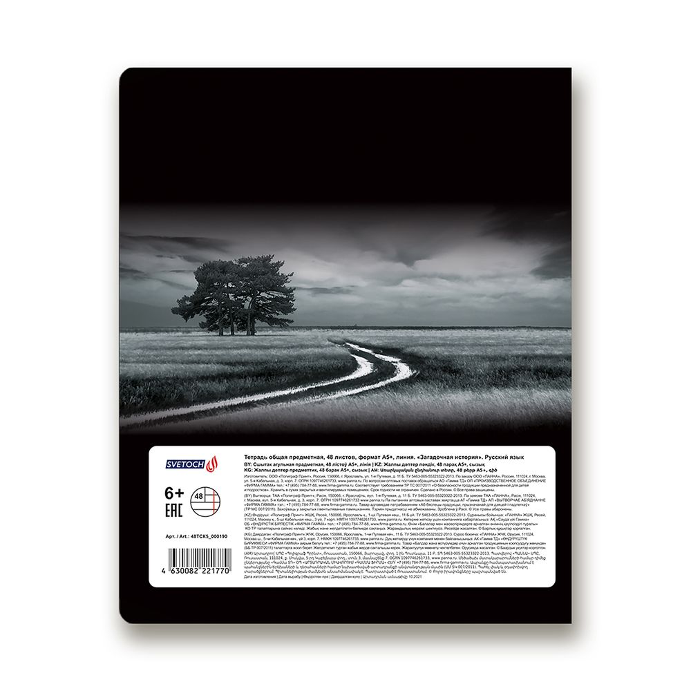 Тетрадь предметная Загадочная история A5+ 48 л. на скобе, белизна 100%, 10 шт, линия, 48ТСК5/000190 Русский язык, Светоч