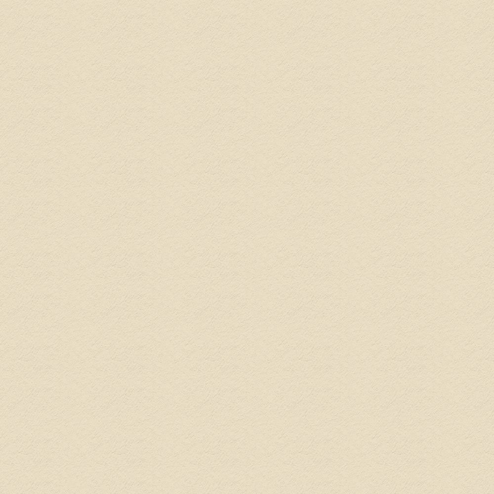 Бумага цветная 300 г/м², 50х70 см, 25 шт, 28 слоновая кость/ivory, Vista-Artista MFO-AA Бумага цветная 300 г/м², 50х70 см, 25 шт, 28 слоновая кость/ivory, Vista-Artista MFO-AA