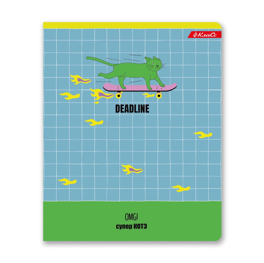 Тетрадь ученическая общая, матовая ламинация + выборочный УФ лак, A5+ 48 л. на скобе, белизна 100%, 10 шт, клетка, 000326 Суперкот, Светоч 48ТСК5_24_3_1