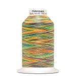 Нитка текстурированная Gutermann Bulky-Lock 80 multicolor, 1000 м, 9822, 1 катушка