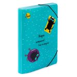 Папка на резинке A4 LRF-06 450 мкм 35 мм, песок, 5 шт, 02-Коты, Лео LRF-06