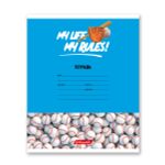 Тетрадь ученическая школьная A5+ 24 л. на скобе, белизна 100% 30 шт, клетка, 000372 Мячики, Светоч 24ТСКд5_1_3_1