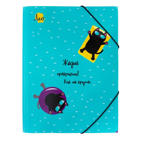 Папка на резинке A5 LRF-07 450 мкм 25 мм, песок, 6 шт, 02-Коты, Лео LRF-07