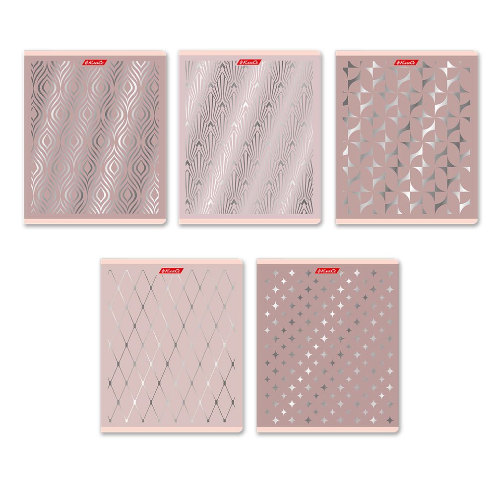 Тетрадь ученическая общая, матовая ламинация + тиснение серебряной фольгой, A5+ 48 л. на скобе 65 г/м², белизна 100%, 10 шт, клетка в термоусадочной пленке, 000743 Серебряная мечта, Светоч 48ТЕТк-007