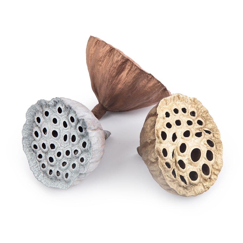 Коробочки лотоса 4 см, 3 шт, 15 г,±5 г, Микс, Blumentag LIF-02 Коробочки лотоса 4 см, 3 шт, 15 г,±5 г, Микс, Blumentag LIF-02