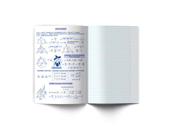 Тетрадь со справочным материалом Ковен тайных знаний, A5+ 48 л. на скобе 65 г/м², белизна 100%, 10 шт, клетка, 00855 Геометрия, Светоч 48Т7