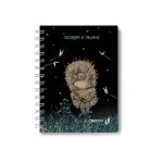 Записная книжка с твердым переплетом, матовая ламинация (лицензия), на гребне A6 120 л. 4 шт клетка, Всё туманно 01590, ЗК225 Светоч