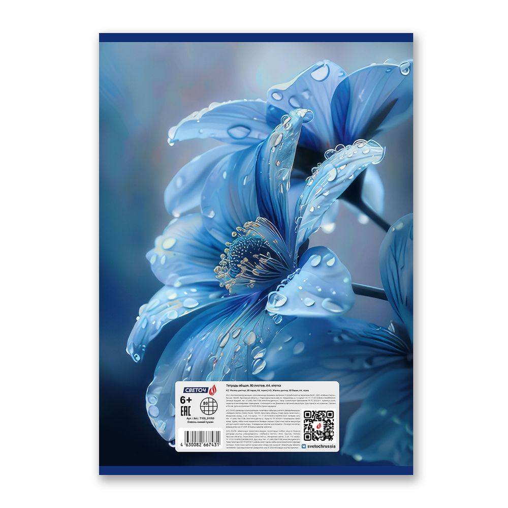 Тетрадь ученическая общая, выборочный лак, A4 80 л. на скобе 65 г/м², белизна 100% 6 шт клетка, 01763 Сквозь синий туман, Светоч Т155
