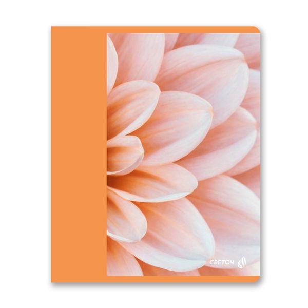 Тетрадь ученическая общая, матовая ламинация, A5+ 96 л. на скобе 65 г/м², белизна 100 %, 5 шт, клетка, 01005 Абрикосовый краш, Светоч 96Т16