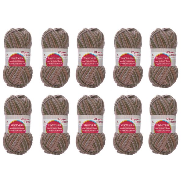 Пряжа Троицкая Подмосковная принт секционный / уп.10 мот. по 100 г, 250 м, 1573М, мох/сиренево-серый мел./кофе