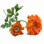Цветы искусственные Гербера, 60см, C Оранжевый