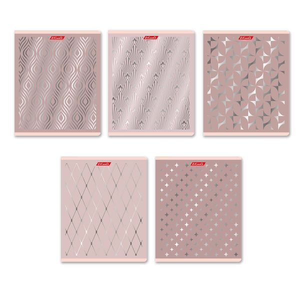 Тетрадь ученическая общая, матовая ламинация + тиснение серебряной фольгой, A5+ 48 л. на скобе 65 г/м², белизна 100%, 10 шт, клетка в термоусадочной пленке, 000743 Серебряная мечта, Светоч 48ТЕТк-007