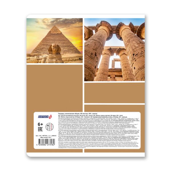 Тетрадь ученическая общая A5+ 48 л. на скобе, белизна 100%, 10 шт, клетка, 000333 Мир вокруг нас, Светоч 48ТСК5_1_3_1