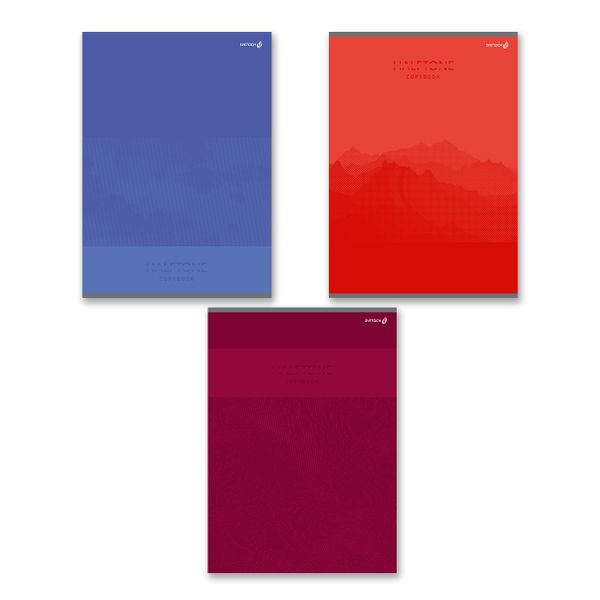 Тетрадь ученическая общая, твин лак, A4 96 л. на скобе 65 г/м², белизна 100%, 6 шт, клетка, 000471 Обыкновенная, Светоч 96ТСК4_8_2_1