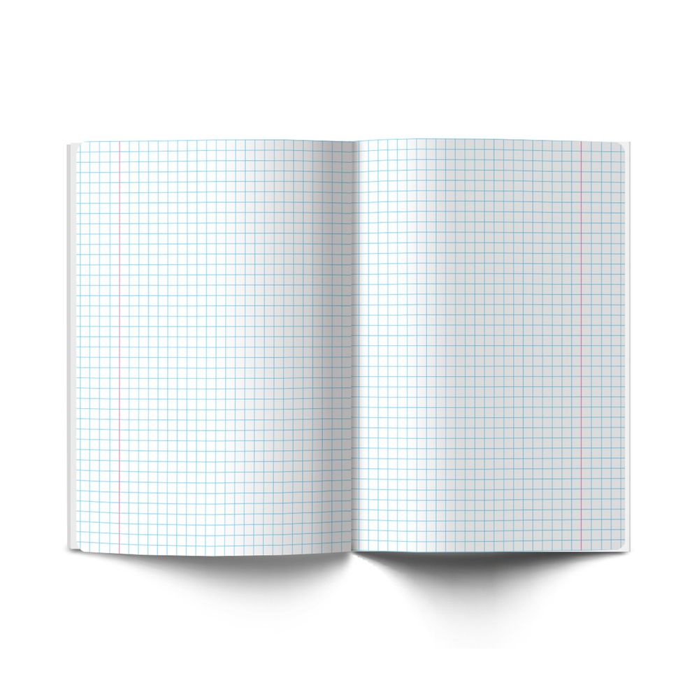 Тетрадь со справочным материалом На задней парте, выбор.лак, A5+ 48 л. на скобе 65 г/м², белизна 100 %, 10 шт, клетка, 01308 На задней парте Информатика, Светоч Т141