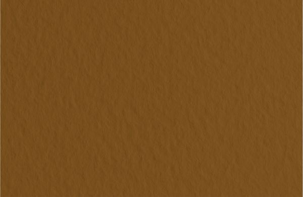 Бумага для пастели 160 г/м², 50х65 см, 10 листов, Caffe/Кофейный, Fabriano