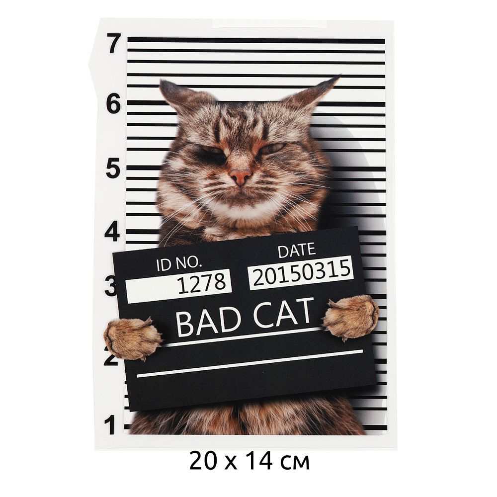 Термотрансфер TY.1320 Bad Cat 20х14см, уп.10шт