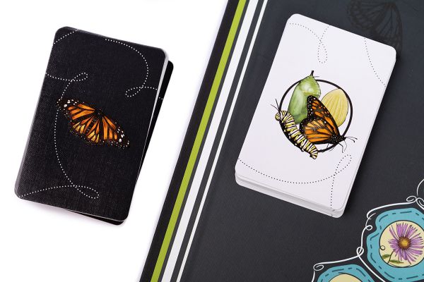 Игра настольная, Марипосас, Эврикус PG-17333