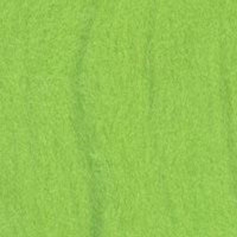 Шерсть для валяния (до 23 мкр), 50 г. 3011 салат, Gamma FY-050