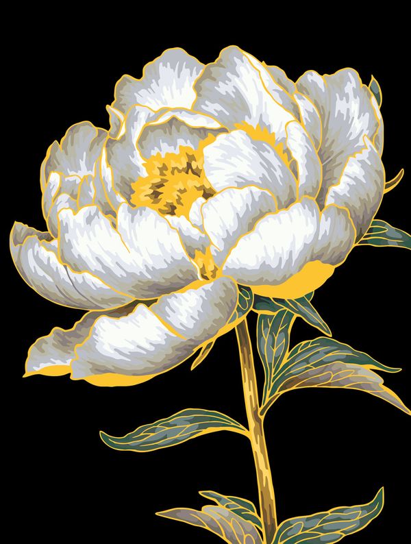 Картина по номерам Фрея PNB/PMB-307, Золотой пион, (эффект черного холста с краской-металлик) 40х30 см